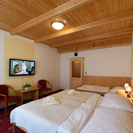 Отель Sport-v-hotel